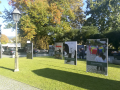 IMG_20191025_160627